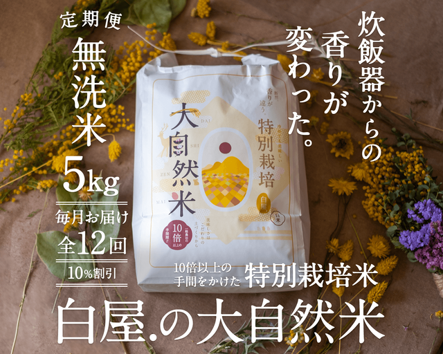 【定期購入/1ヶ月毎】大自然米【無洗米】5kg x 12回(1年間)10%お得!