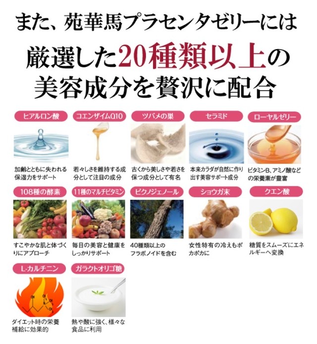 苑華 馬プラセンタゼリー 31包 Healty Select Shop