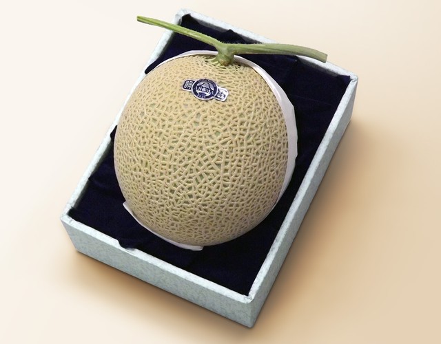 静岡産 アローママスクメロン【1玉約1.4kg】 〔送料無料 メロン 贈答用〕