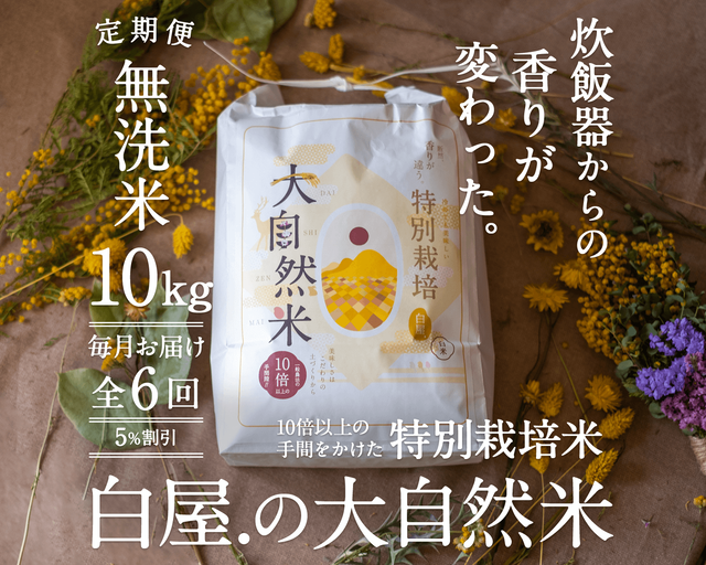 【定期購入/1カ月毎】大自然米【無洗米】10kg x 6回(半年)5%お得!
