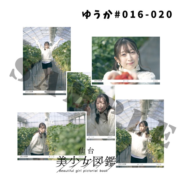 仙台美少女図鑑 宮城美少女図鑑 By R Project