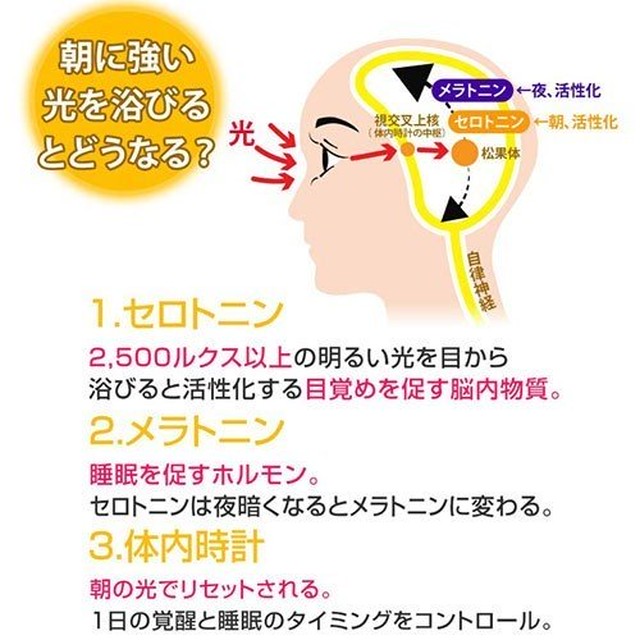 目覚まし時計 光 Inti 光目覚まし時計 デジタル おしゃれ Inti4 壁掛けホルダー付き 目覚まし時計図鑑