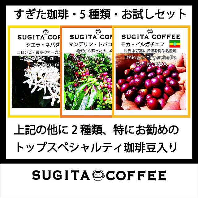 5種お試しコース 色々を少しずつ Baseだけのコーヒーお試しセット おすすめの美味しい珈琲豆 100g 5種類 スペシャルティコーヒー豆 通販販売 自家焙煎珈琲豆専門 すぎた珈琲