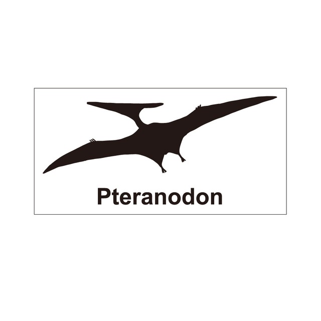 恐竜ステッカー プテラノドン Puikko