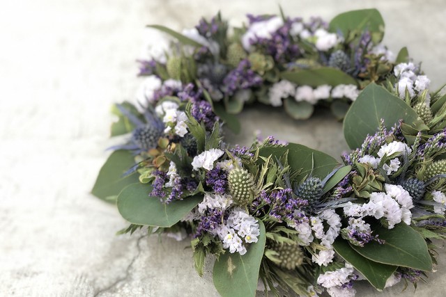 Eryngium wreathe