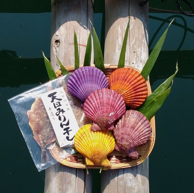 お一人様1個まで ヒオウギ貝とアジみりん干しのお試しセット 送料無料 北海道 沖縄を除く 海付水産 ヒオウギ貝 の養殖 直営産地直送通販ショップ 熊本県天草