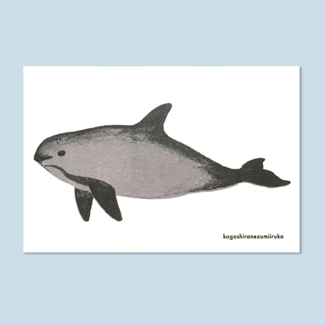 ネズミイルカのポストカード Nebulografik
