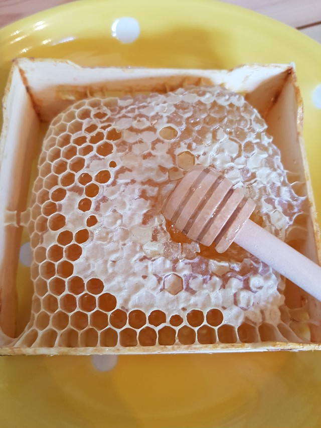 コムハニー 巣蜜 280g Marurigarden