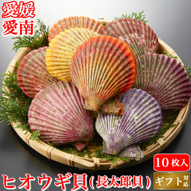 ホタテより濃厚 ヒオウギ貝 緋扇貝 10枚 長太郎貝 愛媛県産 送料無料 冷凍便 ギフト グルメ q 土佐カツオとうなぎの通販 高知の旬 をお届けする 池澤鮮魚マリンオンラインショップ
