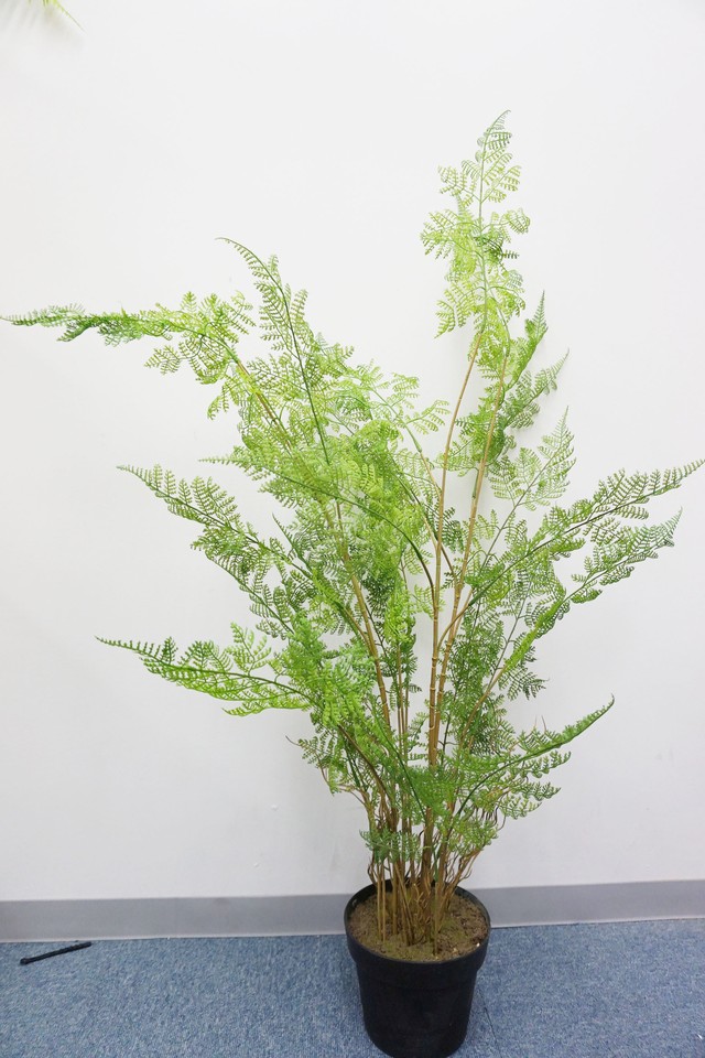 プレミアムグリーン 枯れない人工植物 観葉植物 ジャカランダ 鉢付き 造花 人工植物の専門店 グリーンタイム
