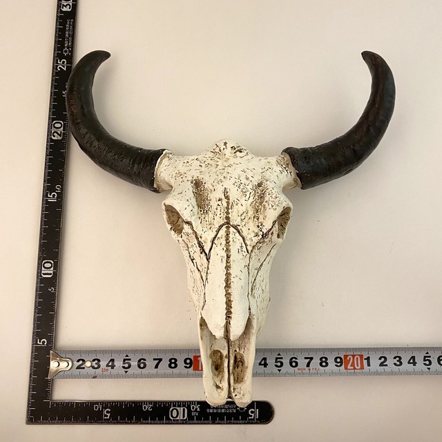 最安値 アンティーク 真鍮 バッファロー 骨 牛 壁掛け 限定セール Talalsalman Com 最安値 アンティーク 真鍮 バッファロー 骨 牛 壁掛け 限定セール Talalsalman Com