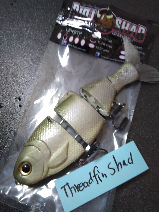 ブルシャッド スイムベイト 6インチ Worldswimbaitsociety By黒鱒堂 Kuromasudou