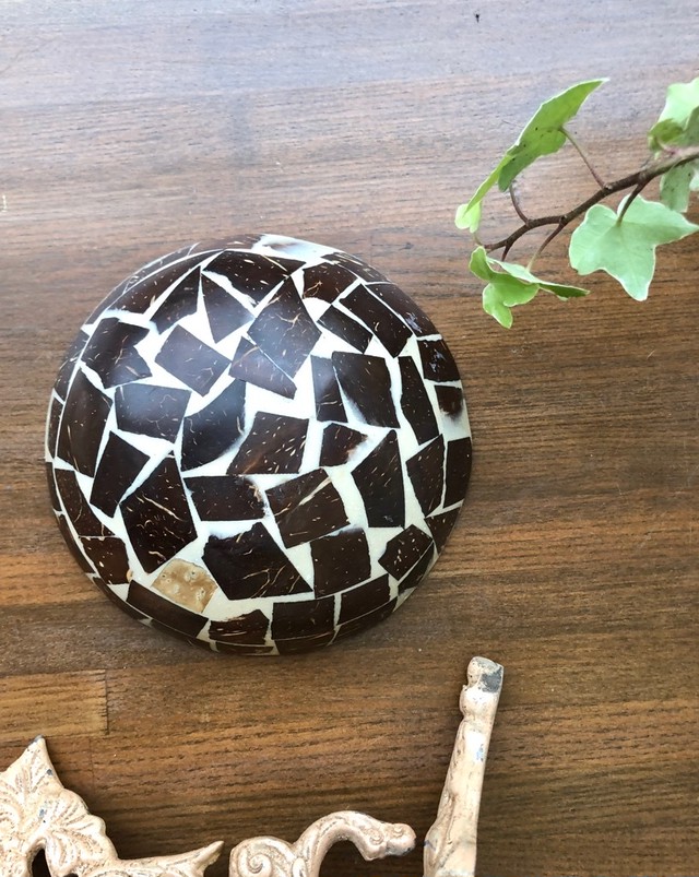 シェルの器 可愛い小物入れ Pishka