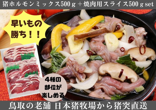 鳥取県産天然猪肉ホルモンミックス500ℊ+焼肉用ミックススライス500gセット【3名様限定】