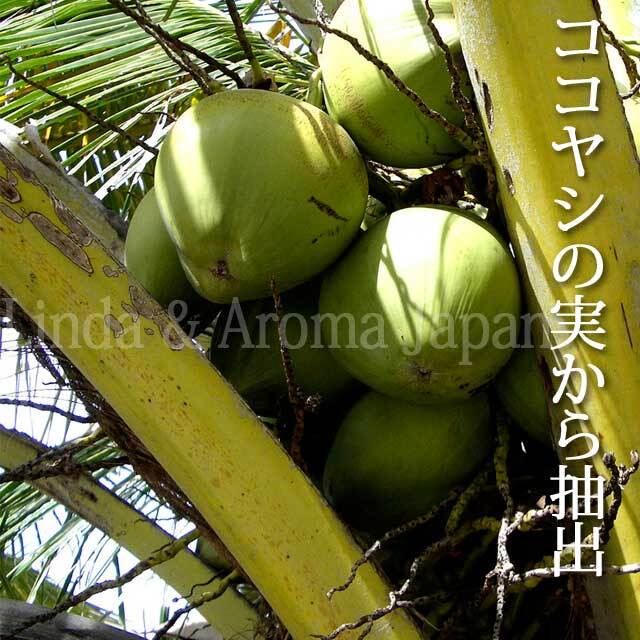 ココナッツオイル ファーナス油 植物油10ml キャリアオイル Coconuts Oil アロマクラフト アロマオイル Aromajapan