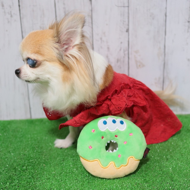 トリーツモンスター ドーナツ Real リアル ハロウィン ペット用品 犬用品 犬おもちゃおしゃれ かわいい犬用おもちゃ 犬おもちゃ 小型犬おもちゃ 犬猫おもちゃ Tuktuk 犬服ドッグウェア キャリーバッグ ペット用品店