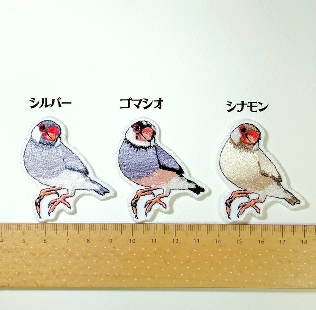 シナモン 文鳥 文鳥は飼いやすい 性格や飼い方をまとめました