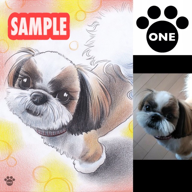 ペットイラスト あなたの可愛いペットを可愛くお描きします Illustrator1