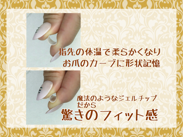 バイカラーネイル Bijou Perfect Fit Tip ネイルチップ Zero Gel Bijou