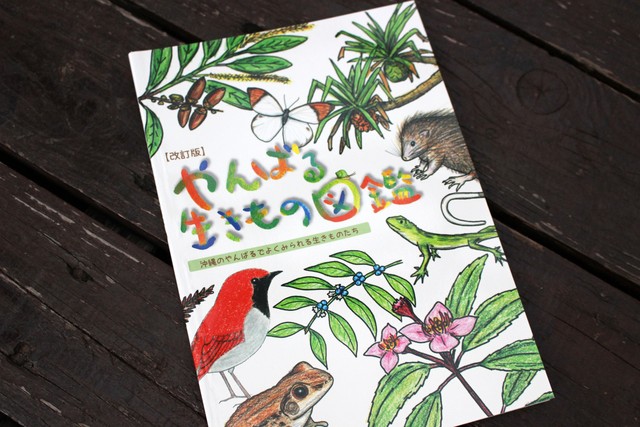 やんばる生きもの図鑑 改訂版 沖縄の森の生きもの ゆうにーがイラストを描いた沖縄の図鑑です Neco Kids Shop