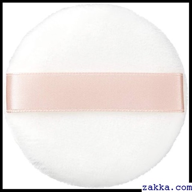 Ettusais 10g フェイスパウダー モイスト スキンケアパウダー エテュセ 280 Kkk