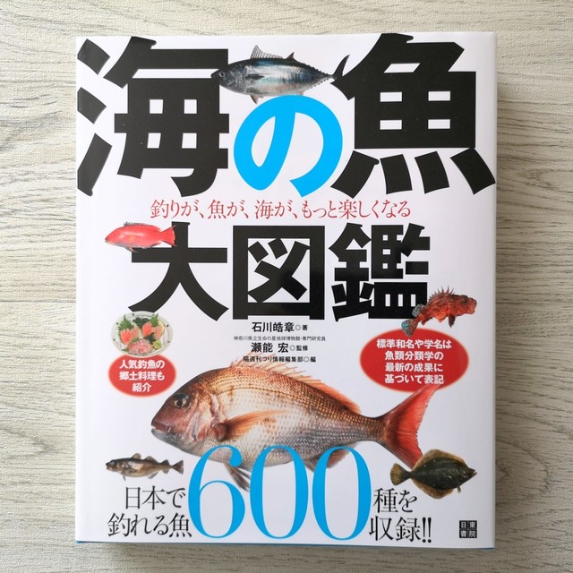 再入荷 海の魚大図鑑 お菓子な本屋