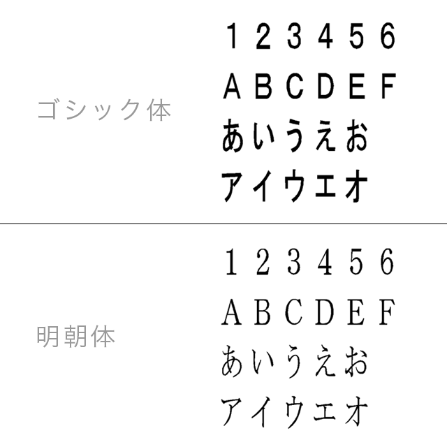 文字入れサービス 12文字まで あいわしぼり