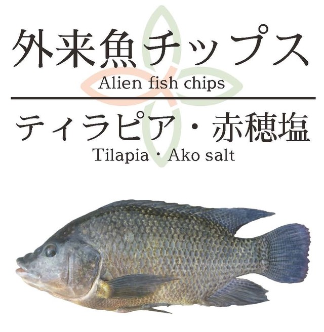外来魚チップス しまづ外来魚研究所オンラインショップ