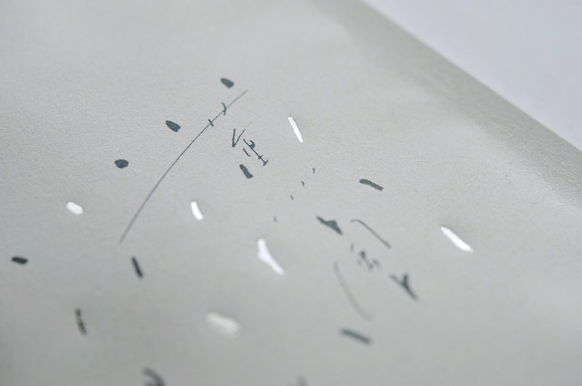 薫風　天竜　手仕上げ　炭火仕立て　　30g