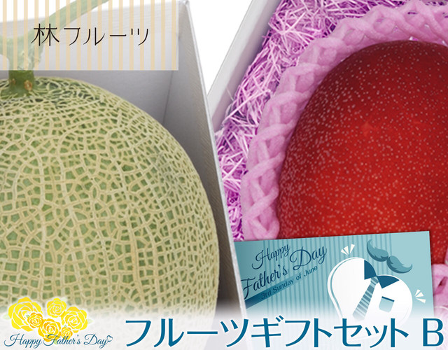 父の日フルーツギフトb 送料無料 アールスメロン マンゴー 宮崎マンゴー 詰合せ 贈答用 父の日 ハヤシフルーツ公式オンラインストア