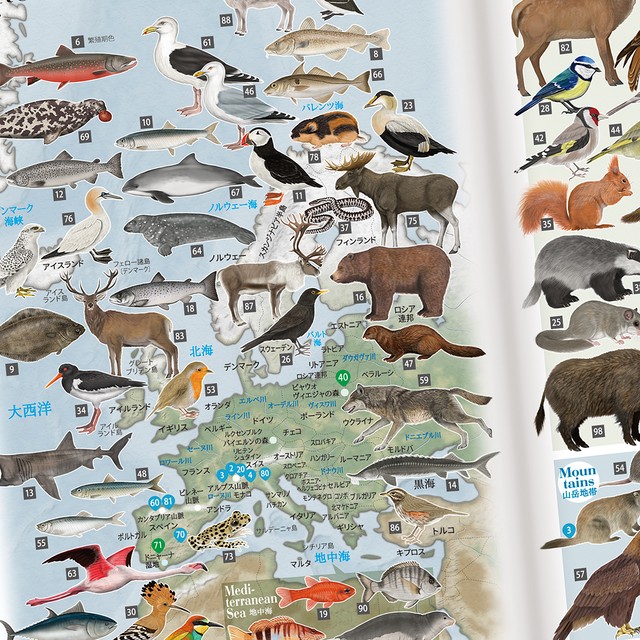 野生動物 世界地図帳 Malth Shop