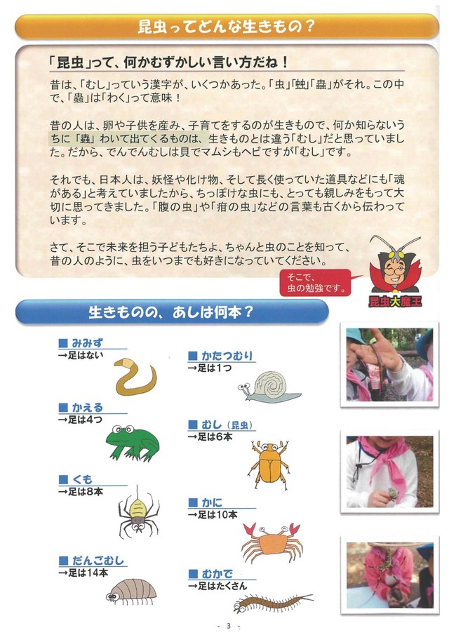 日高の林こども虫図鑑 みんなと遊んだ昆虫たち 18 けやの森学園とフレネ教育