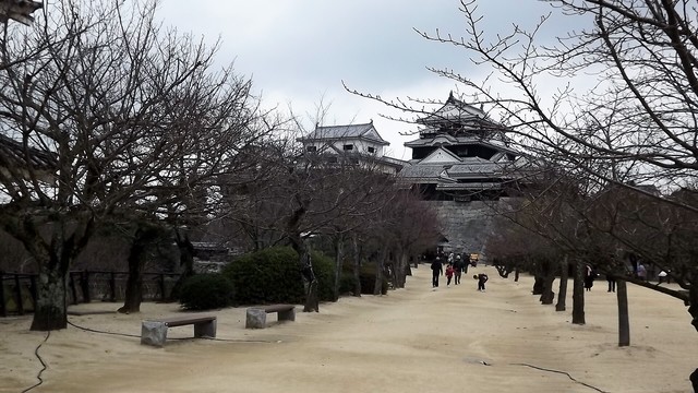 画像cd 松山 道後温泉 宇和島など 広島を追放されたタイガースファン画像cd ダウンロードショップ