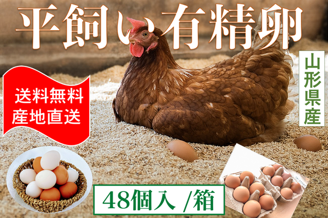 山形県産 まほろば高畠の平飼い有精卵 ４８個入 箱 送料無料 こだわり市場