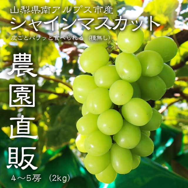 限定版 山梨県産 ハウス シャインマスカット 5 4名様限定 果物 Slcp Lk