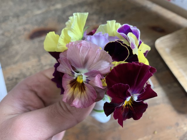 送料無料 エディブルフラワーパンジーセット 食用花 上野の花屋 花時計 オンラインショップ By シトロンリーフ