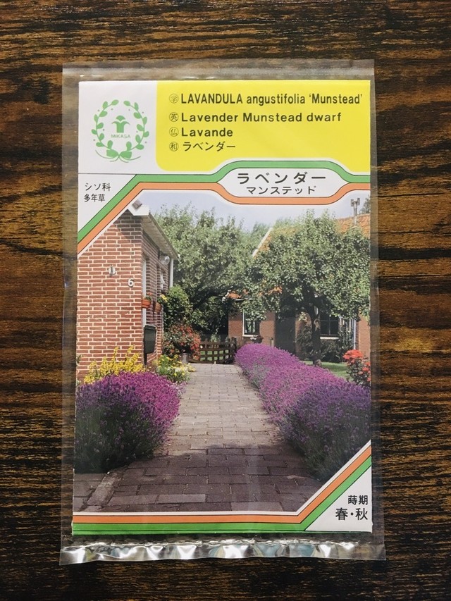 ラベンダー マンステッド 種子 ナチュラルマルシェ ソヨソヨ