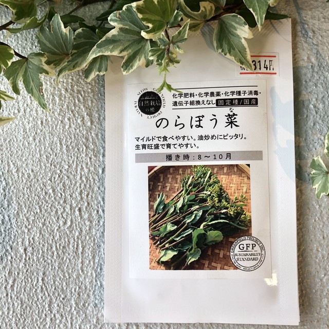 伝統野菜 のらぼう菜 Organic Seeds 固定種 国産 橋本種苗園