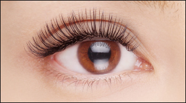 フラットマットラッシュ１００本 マツエク 前売り券 Palbylovest