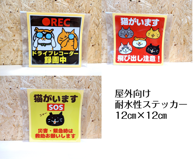 福岡の猫カフェ里親募集型保護猫 古民家 Cafe Gatto
