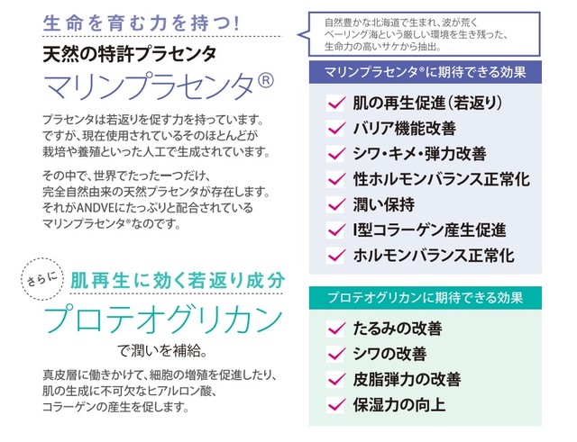 Andve モイストアッププロ オールインワンゲル 送料無料 Andve