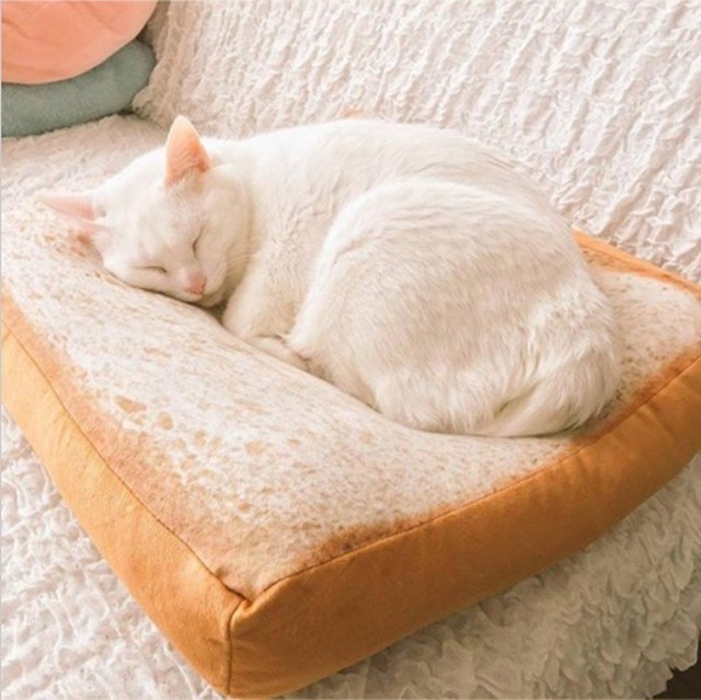 0262 食パンが可愛いペット用ベッド ペット ベッド 食パン 可愛い 面白い 小型犬 猫 癒し インスタ 写真映え Dream Ark
