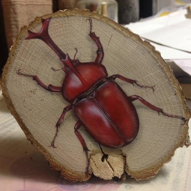 原画 輪切り絵アート 赤いカブトムシ Rhinoceros Beetle ｊギャラプラス