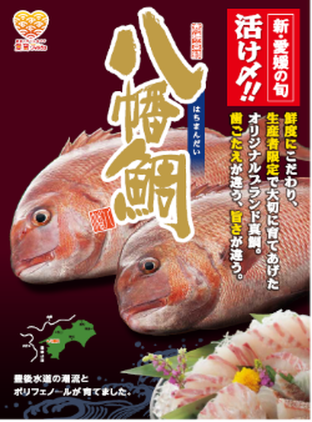活〆八幡鯛 丸魚 1 2 1 5kgサイズ 木戸水産onlineshop
