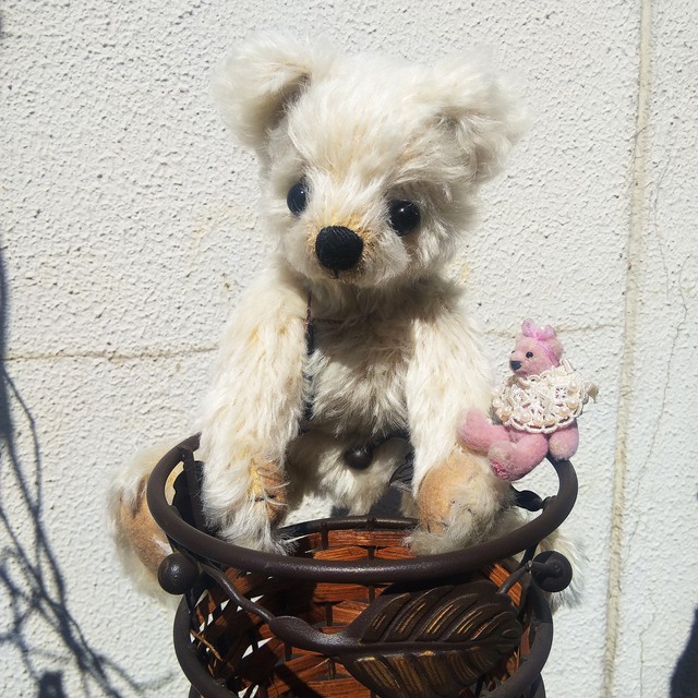 くたくたのお腹が気持ちいい 鍵っ子 白くまちゃん テディベア 作家ハンドメイド アーティストベア モヘア グラスアイ フルジョイント 古着屋 Sputonic