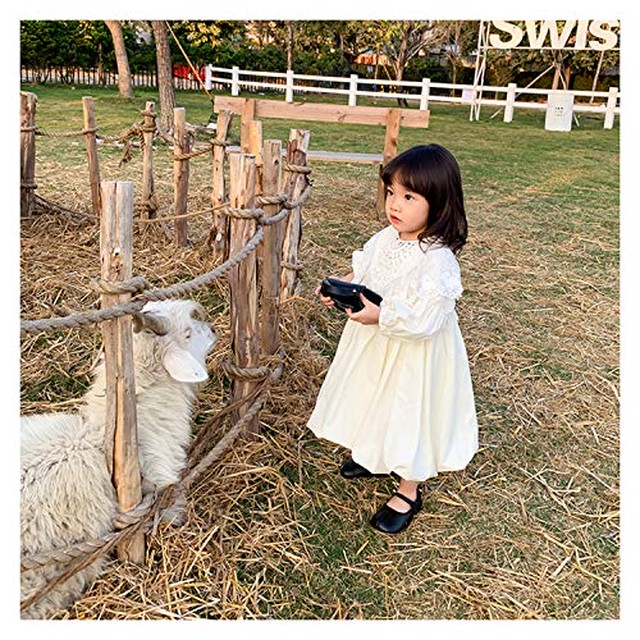 Jpcs Slinx ワンピース 女の子 ベビー服 幼児 付け襟 可愛い キッズ お姫様風 ふんわり ギャザー 春夏秋 チュニック お出かけ プレゼント１ 6歳 Qz 1 Az Japan Classic Store
