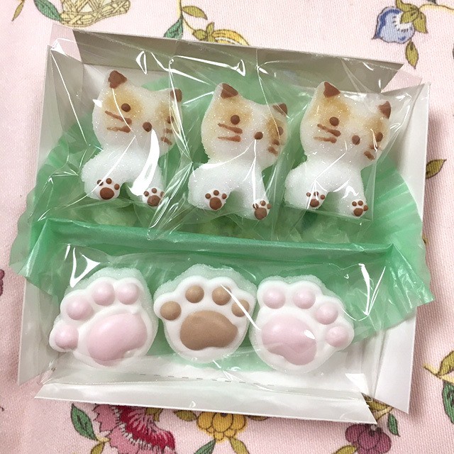 シュガークラフト カップネコ Colorful Factory