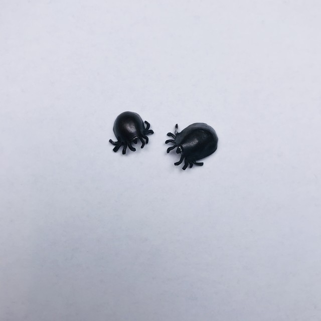 【たがや】 「ダニ」