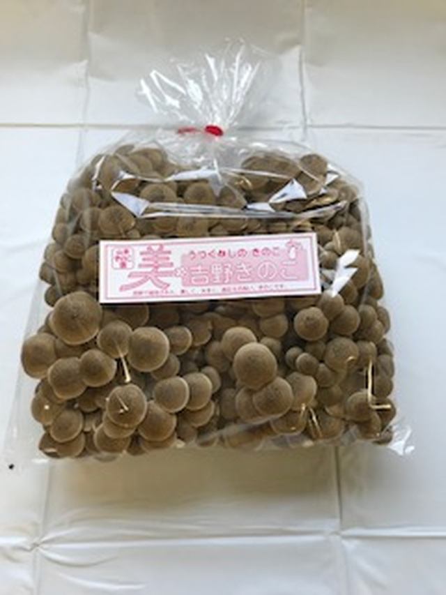 株付きしめじ 1袋4株 約600ｇ 約700g 4袋ｾｯﾄ 送料込 山本きのこ園 きのくる