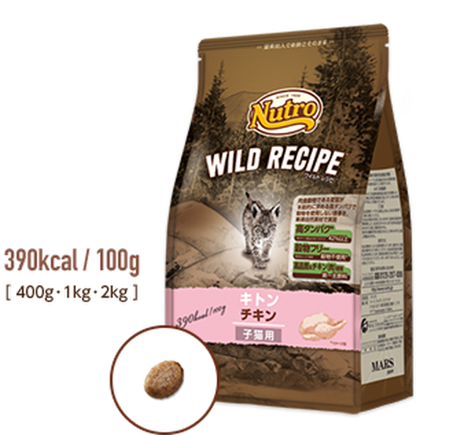 目指す 体系的に まだら ニュートロ キャット Tubenclosure Org